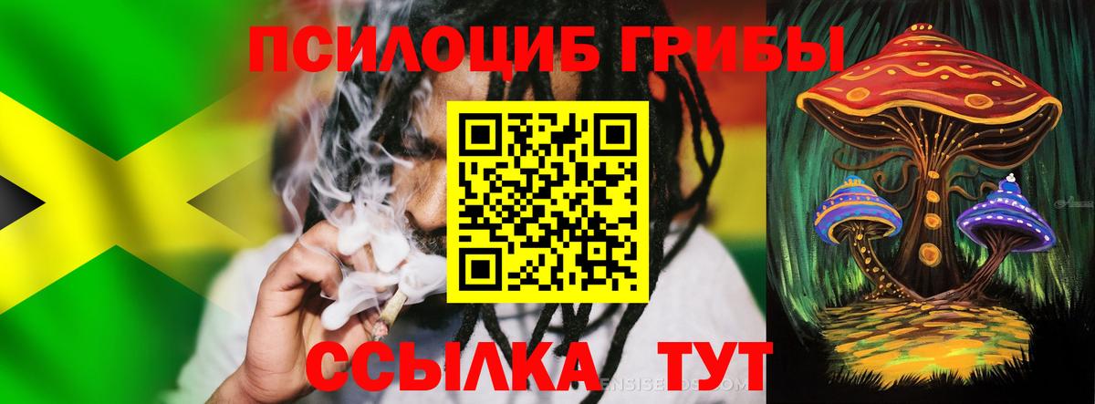 Псилоцибиновые грибы Psilocybine cubensis  Псилоцибиновые грибы MAGIC MUSHROOMS  Вход с VPN  Новомосковск 