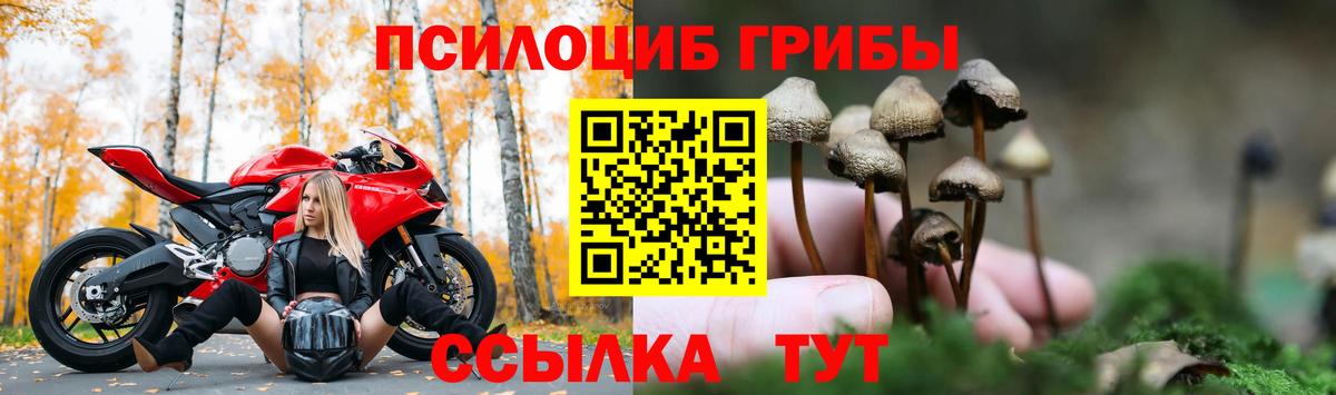 Псилоцибиновые грибы GOLDEN TEACHER Новомосковск